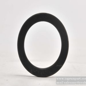 A820102010089 retaining ring C120/37.2.5-4