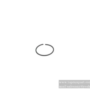 A820102010194 ring piece P190.17-10