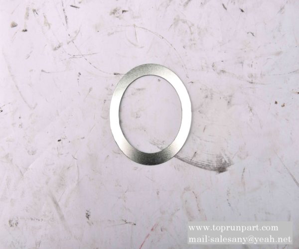 A820102010204 adjustment gasket P190.17-31