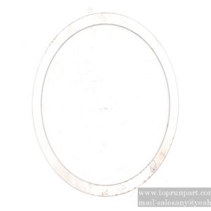 A820102010216 gasket P190.2-17