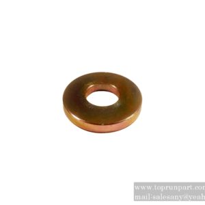 A820102010535 inclined pin washer RSC45.8-22