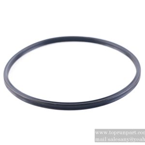 60206085 Sealing ring 148.49×5.