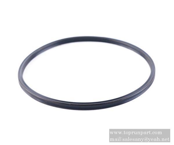 60206085 Sealing ring 148.49×5.