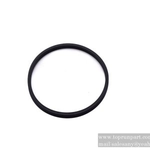 60206086 Sealing ring 120.02×5.