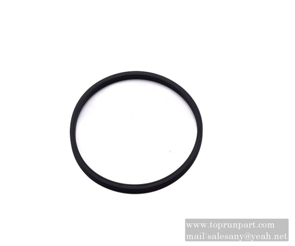 60206086 Sealing ring 120.02×5.
