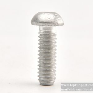 60206324 Screw M10×25GB70.2