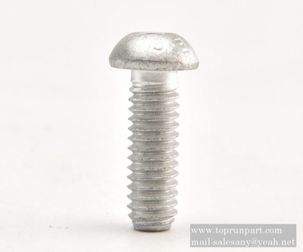 60206324 Screw M10×25GB70.2