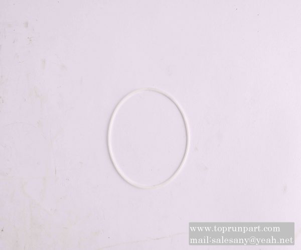 60206876 BU retaining ring 95×101×