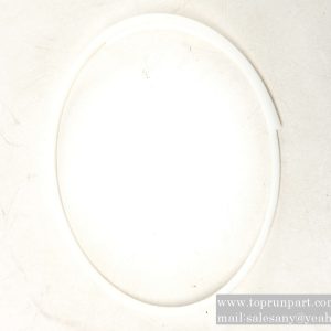 60206877 BH retaining ring 124×118×