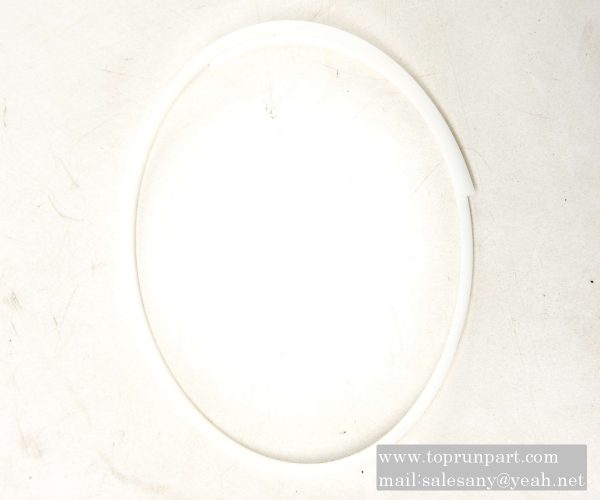 60206877 BH retaining ring 124×118×