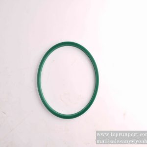60208099 ZBR seal ring 200×220×