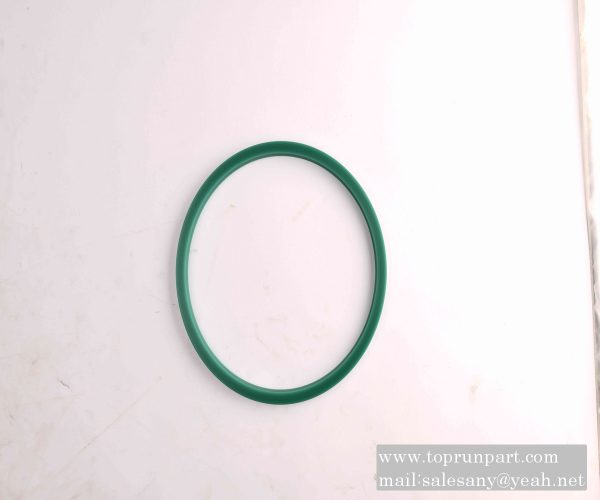 60208099 ZBR seal ring 200×220×