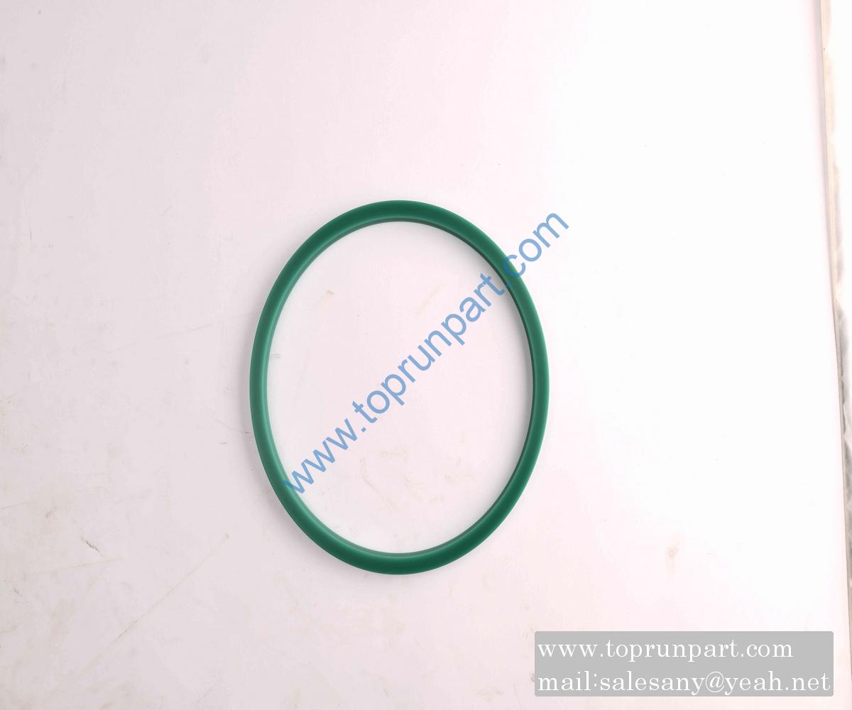60208099 ZBR seal ring 200×220×