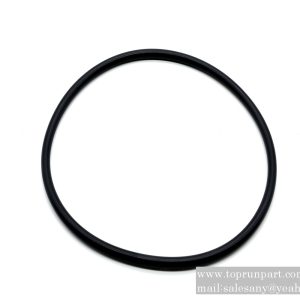 60208150 OE seal ring 190×169×