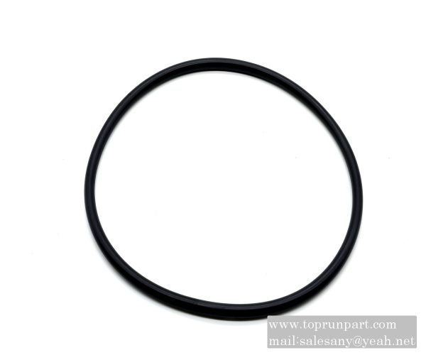 60208150 OE seal ring 190×169×