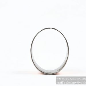 60208488 bearing 100×105×60 SF-1