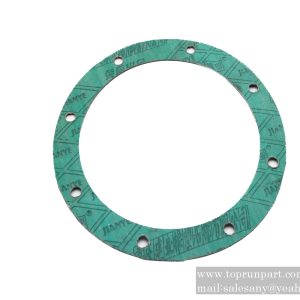 60209762 Sealing gasket 3000017T