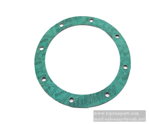 60209762 Sealing gasket 3000017T