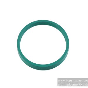 60210038 B3 seal ring 180×200×