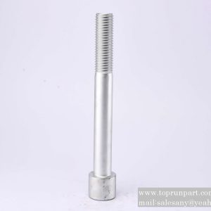 60211249 Screw M33×