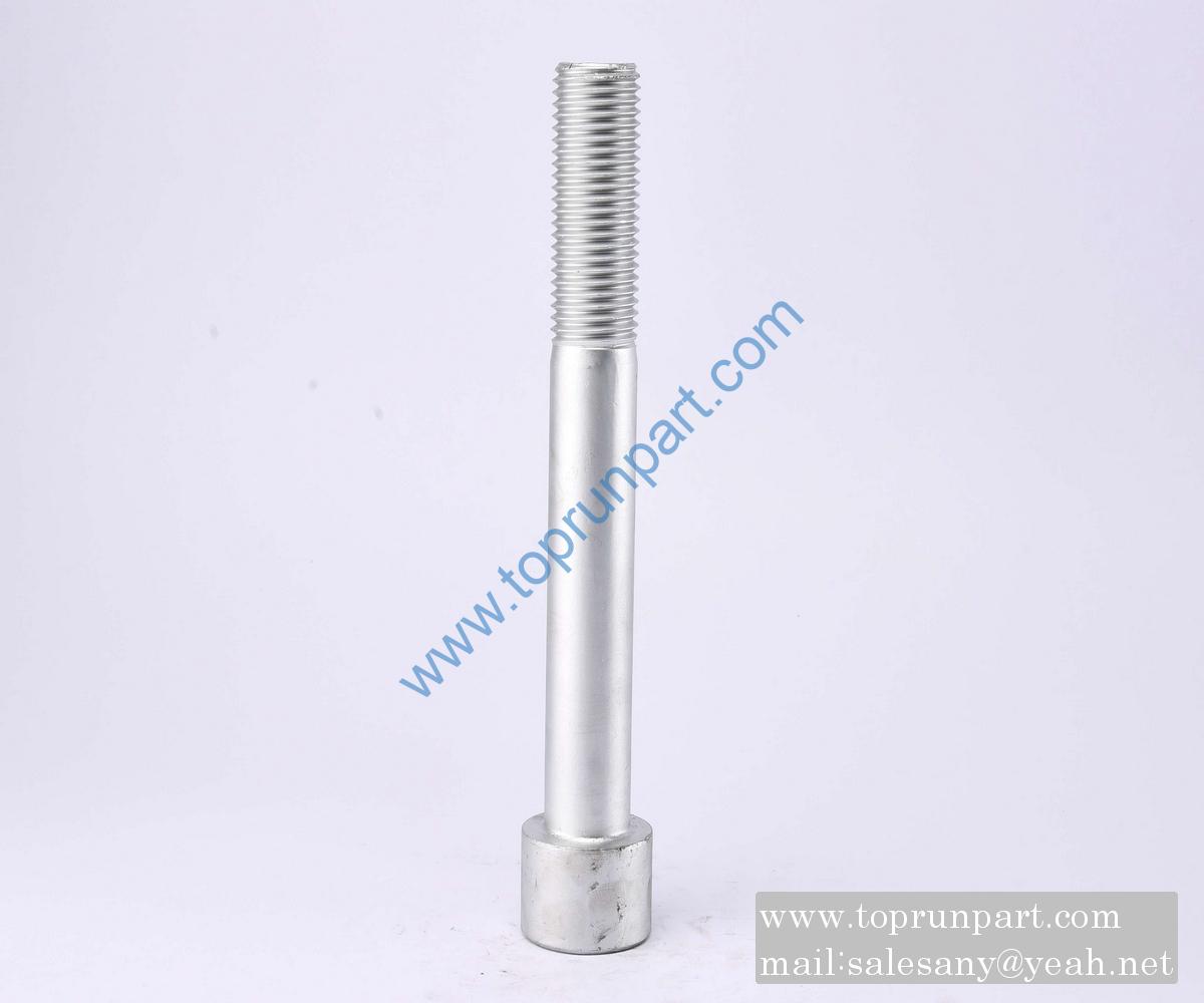 60211249 Screw M33×