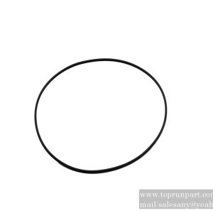 60219341 O-ring 177.5×