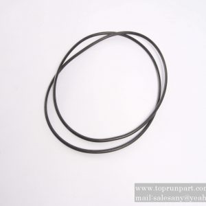 60219725 O-ring 425×