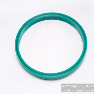 60219908 DA24 dust ring 160×176×9.5×