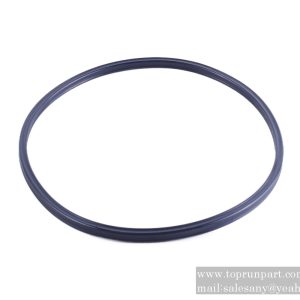 60221050 sealing ring 164.47×5.