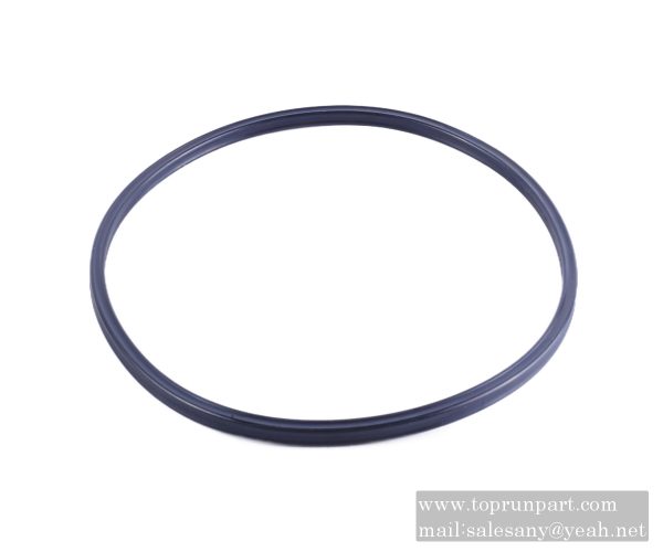 60221050 sealing ring 164.47×5.