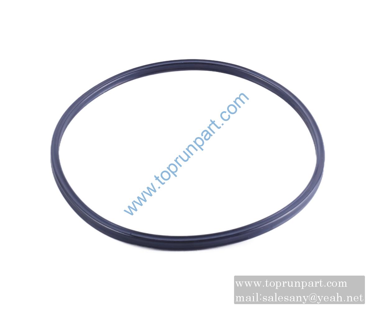 60221050 sealing ring 164.47×5.