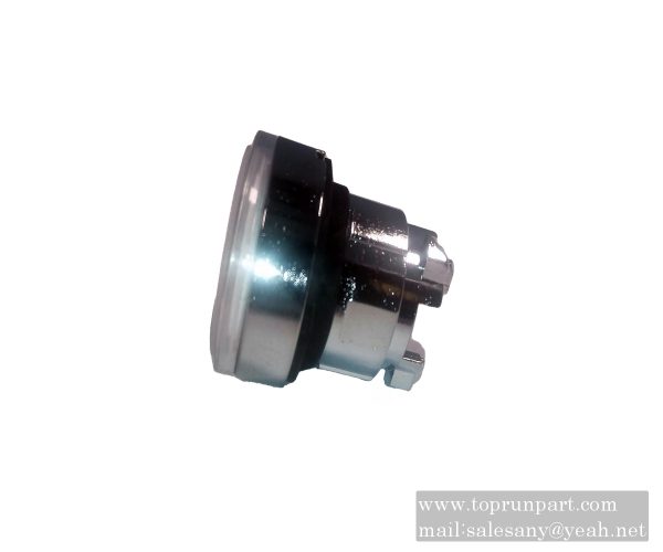 button ZB4BW313