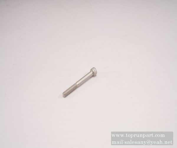 60225886 Screw M8×70G