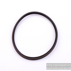 60232793 TG oil seal 124×135×