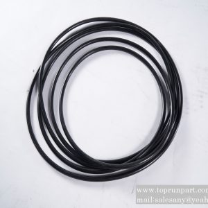 60233739 O-ring 1200×