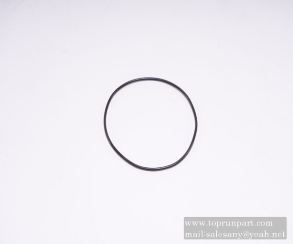60248101 O-RING SANY