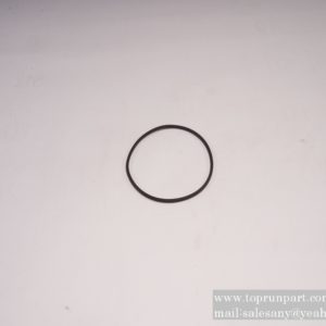 60248103 O-RING SANY