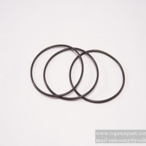 60248104 O-RING SANY