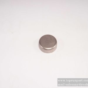 60248349 Bowl plug SANY