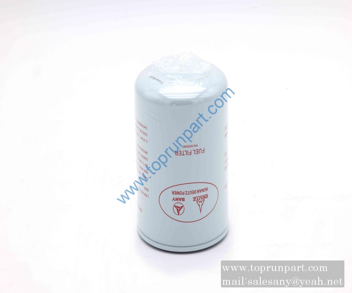 60263487 fuel filter element 9665163013