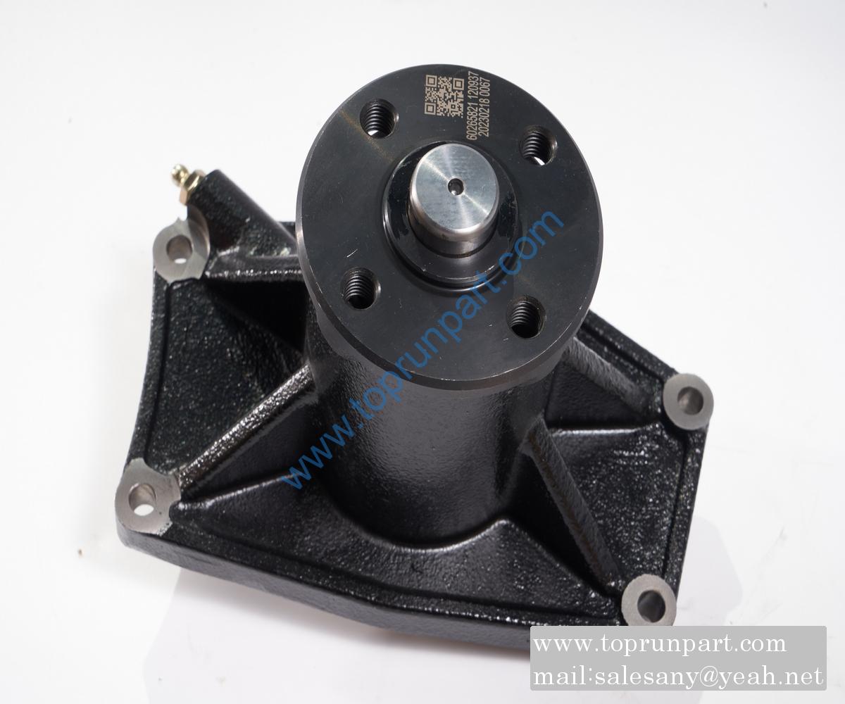 60265821 Water pump/D06S2.7.1-1