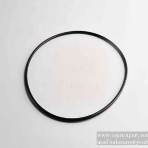O-ring 53000015