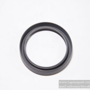 HMS4 oil seal 53500008