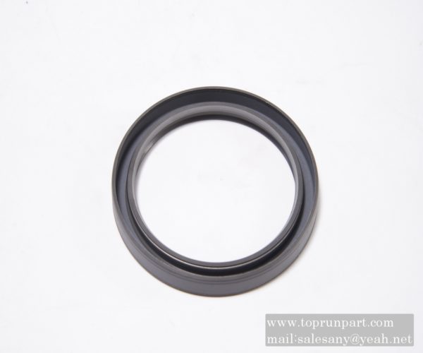 HMS4 oil seal 53500008