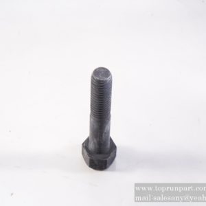 bolt 75500003