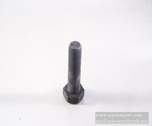 bolt 75500003