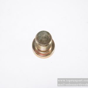 Screw plug 75500197
