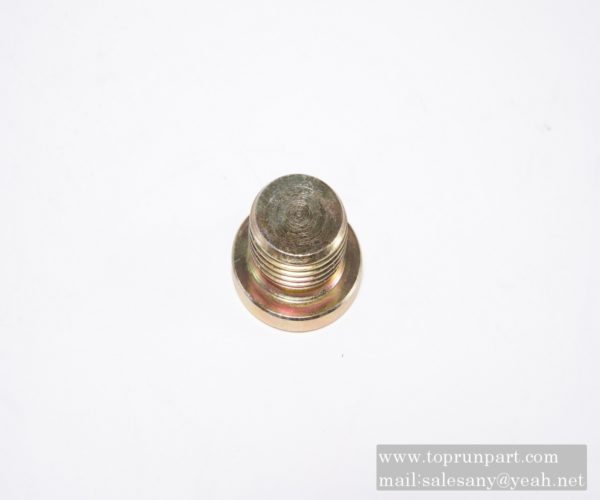 Screw plug 75500197
