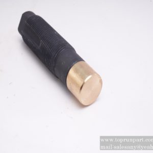 thrust bolt 79600094