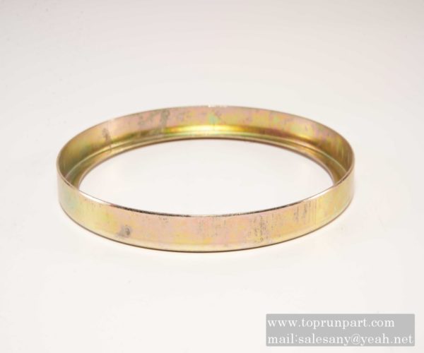 oil seal 53100006